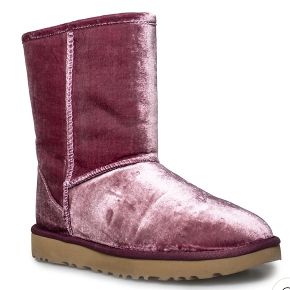 UGG | Classic Short II Velvet Bougainvillea Boots - Picture 10 of 11